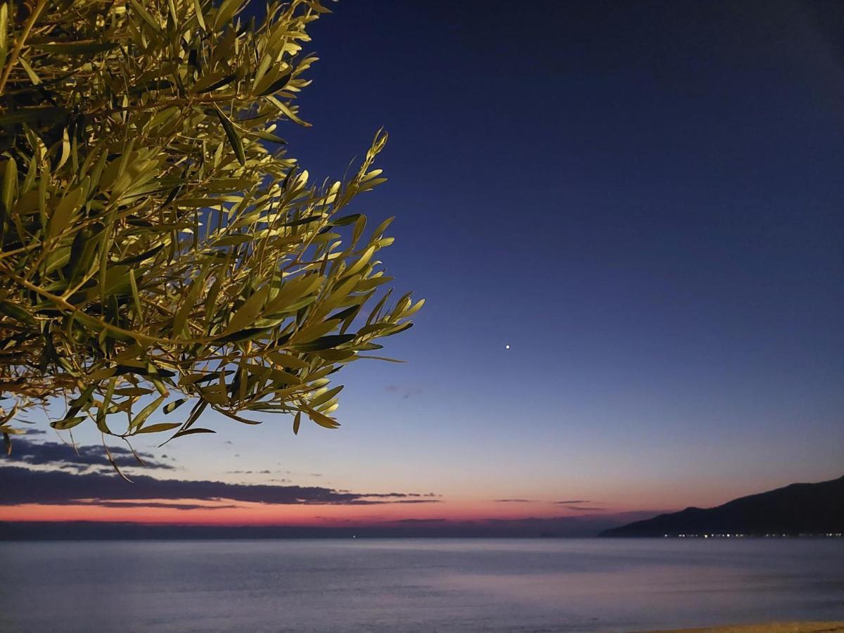 Villa Sevi Vrasná 외부 사진