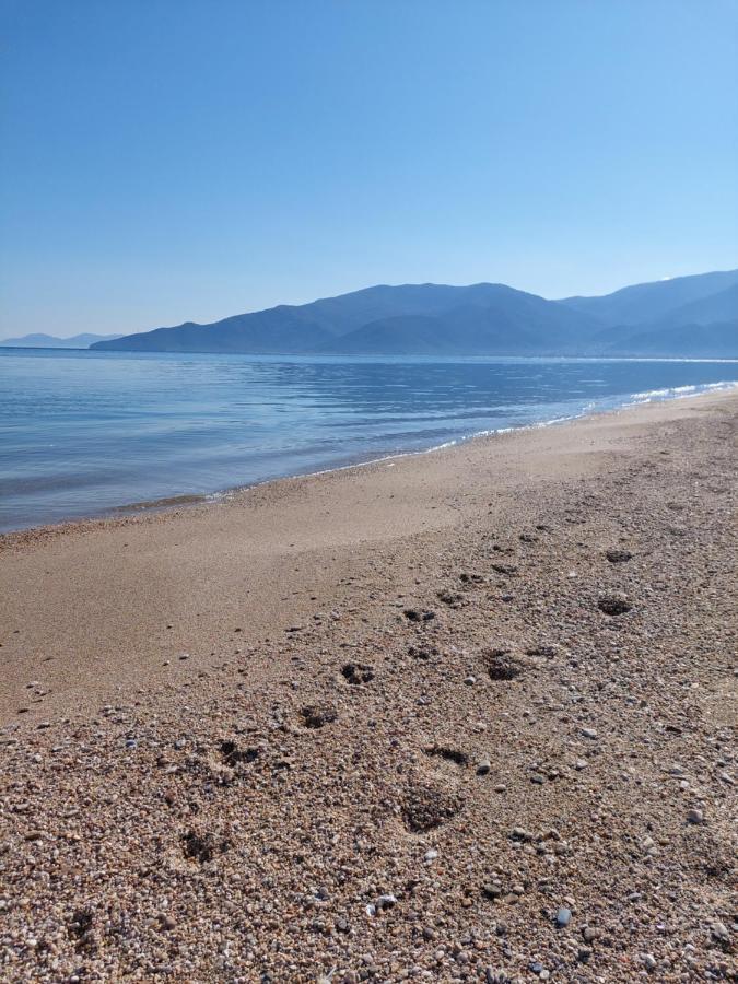 Villa Sevi Vrasná 외부 사진