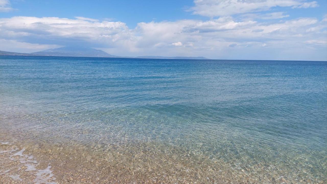 Villa Sevi Vrasná 외부 사진
