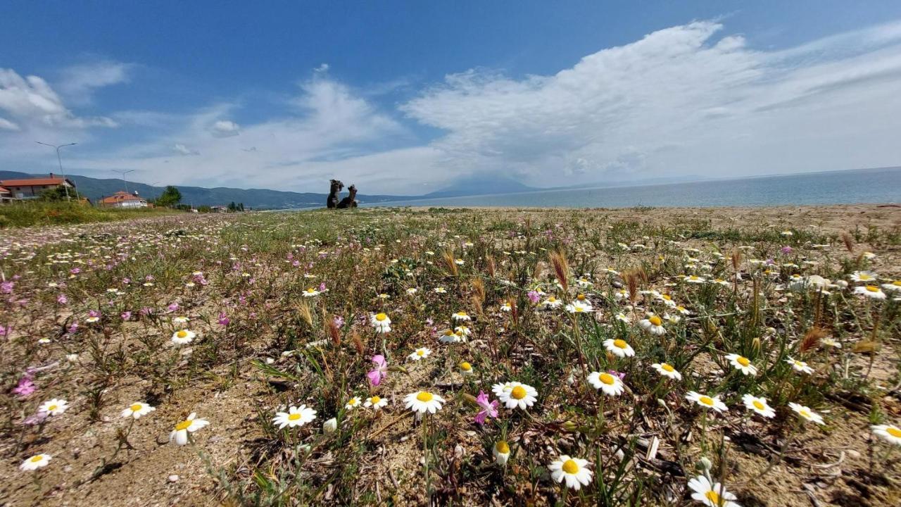 Villa Sevi Vrasná 외부 사진
