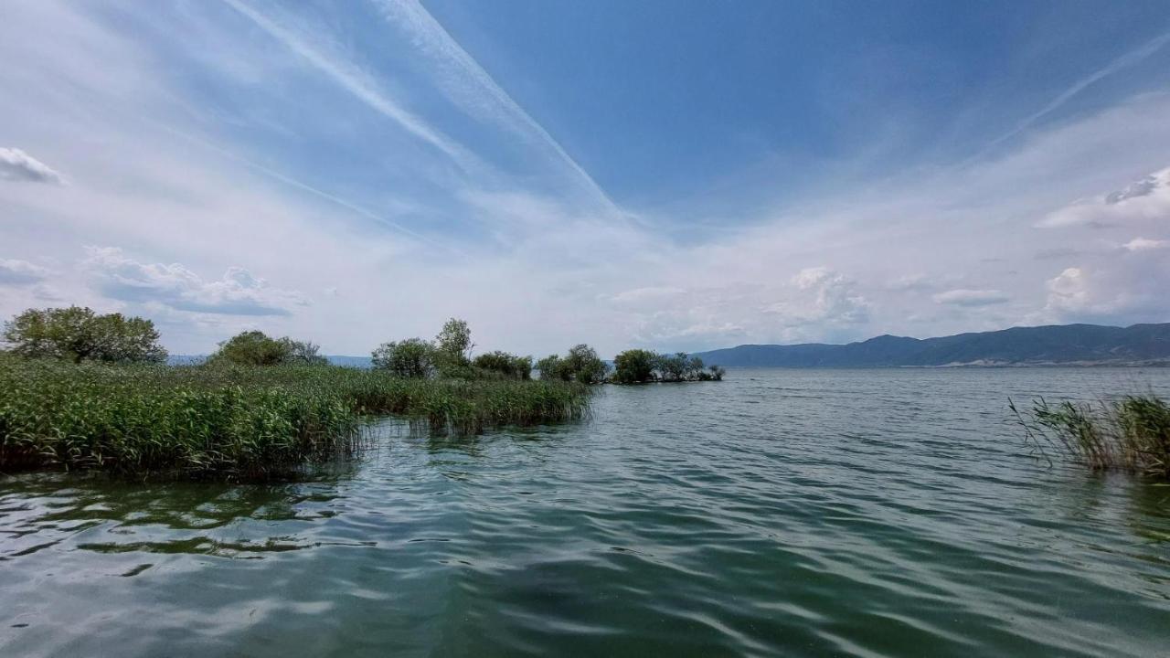 Villa Sevi Vrasná 외부 사진
